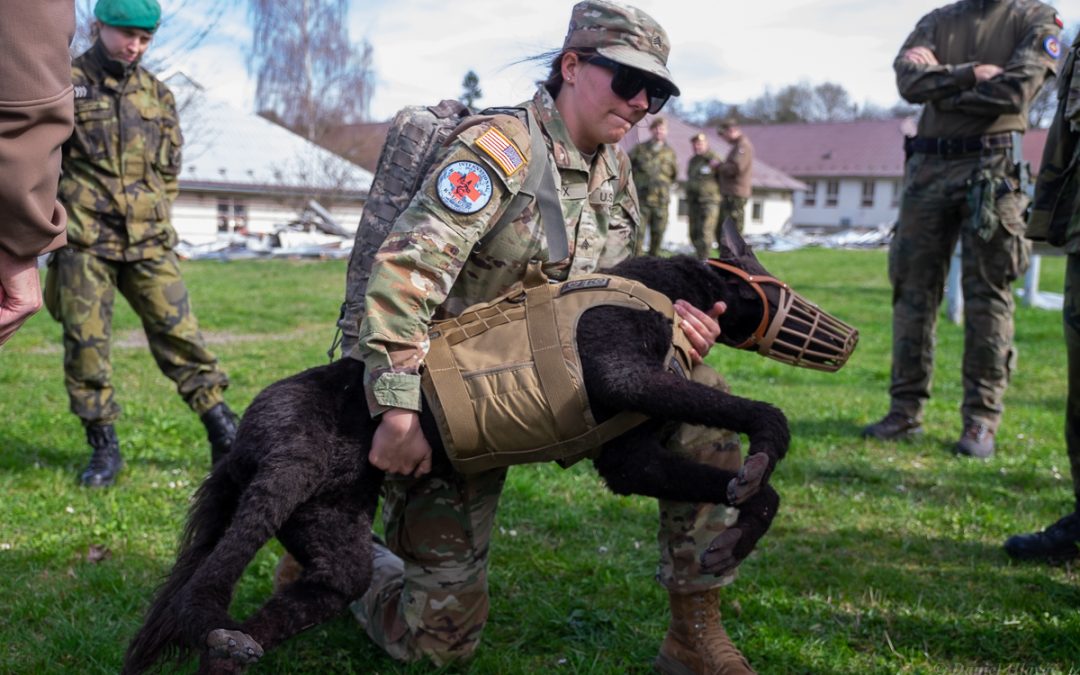 K9 TCCC v Moravské Třebové